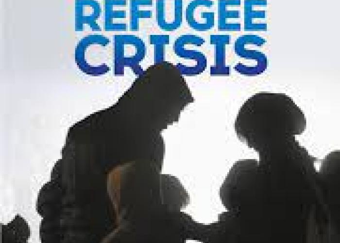 Trix, F., Europe and the Refugee Crisis : Local Responses to Migrants, London, Tauris, 2020